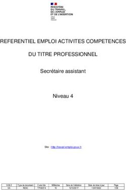 REFERENTIEL EMPLOI ACTIVITES COMPETENCES DU TITRE PROFESSIONNEL