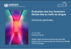 Valuation Des Flux Financiers Illicites Li S Au Trafic De Drogue