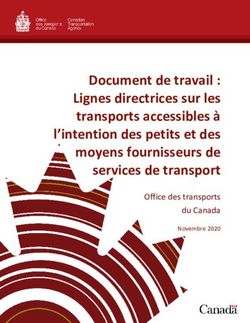 Document De Travail Lignes Directrices Sur Les Transports Accessibles