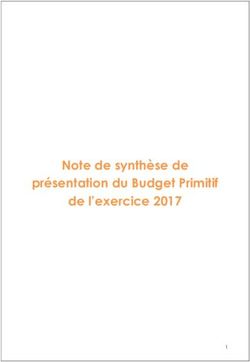 Note De Synth Se De Pr Sentation Du Budget Primitif De L Exercice