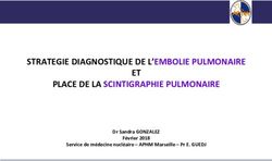 Strategie Diagnostique De L Embolie Pulmonaire Et Place De La