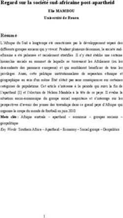 Regard sur la société sud-africaine post-apartheid