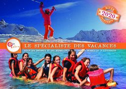 LE SPÉCIALISTE DES VACANCES - POUR LES ENFANTS ET LES JEUNES DE 4 À 25 ANS EN FRANCE ET À L'ÉTRANGER - Vacances du Zèbre