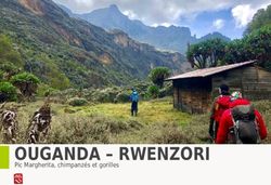 OUGANDA - RWENZORI Pic Margherita, chimpanzés et gorilles - Explorateur voyages