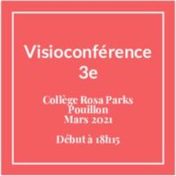 Visioconférence 3e Collège Rosa Parks Pouillon Mars 2021 Début à 18h15