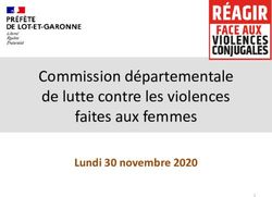 Commission départementale de lutte contre les violences faites aux femmes - Lundi 30 novembre 2020