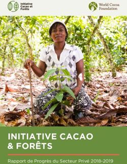INITIATIVE CACAO & FORÊTS - Rapport de Progrès du Secteur Privé 2018-2019 - World Cocoa Foundation