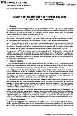 Etude fosse de plantation et r&eacute;tention des eaux Projet Ville de Lausanne