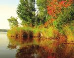 Calendrier 2019 Ville de Disraeli villededisraeli.ca 418 449-2771