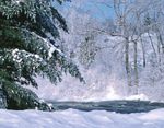 Calendrier 2019 Ville de Disraeli villededisraeli.ca 418 449-2771