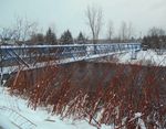 Calendrier 2019 Ville de Disraeli villededisraeli.ca 418 449-2771