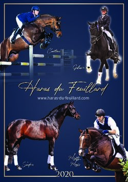 Haras du Feuillard Cassitano Galaxie