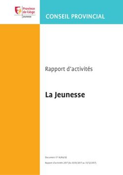 La Jeunesse - CONSEIL PROVINCIAL - Rapport d'activités - Province de Liège