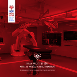 BILAN, PROJETS ET DÉFIS APRÈS 15 ANNÉES DE FONCTIONNEMENT - DU REGROUPEMENT DES ACTEURS AUX HEART TEAM(S) FONCTIONNELS - INCCI