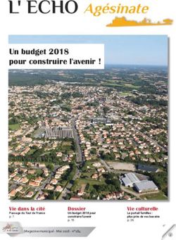 L' ECHO Agésinate Un budget 2018 pour construire l'avenir ! - Aizenay