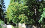 Saison Culturelle Guide de la 2021 - 2022 - Chevreuse