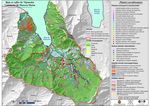 OPUNOHU, MOOREA STRATEGIE DE LUTTE CONTRE LES PLANTES ENVAHISSANTES DANS LE BASSIN VERSANT DE - NET