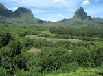 OPUNOHU, MOOREA STRATEGIE DE LUTTE CONTRE LES PLANTES ENVAHISSANTES DANS LE BASSIN VERSANT DE - NET