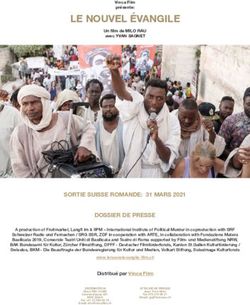 LE NOUVEL &Eacute;VANGILE - Vinca Film GmbH