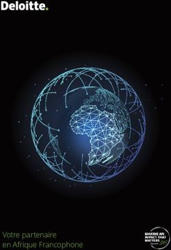 Votre partenaire en Afrique Francophone - Deloitte