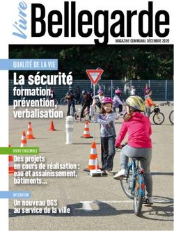 EBellegarde La s&eacute;curit&eacute; - formation, pr&eacute;vention, verbalisation - Ville de Bellegarde (Gard)