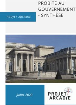 PROBIT&Eacute; AU GOUVERNEMENT - SYNTH&Egrave;SE - Juillet 2020 - Blog