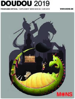 DOUDOU 2019 - Ville de Mons
