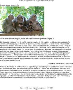 Vous êtes primatologue, vous étudiez donc les grands singes ?