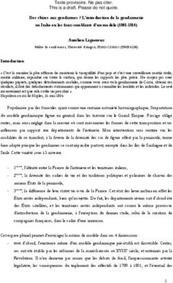 Texte provisoire. Ne pas citer. This is a draft. Please do not quote.