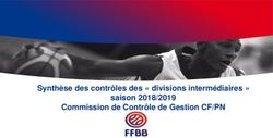 Synthèse des contrôles des " divisions intermédiaires " saison 2018/2019 Commission de Contrôle de Gestion CF/PN - FFBB