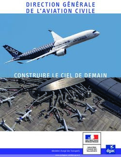 DIRECTION GÉNÉRALE DE L'AVIATION CIVILE - CONSTRUIRE LE CIEL DE DEMAIN - Ministère de la Transition écologique et solidaire