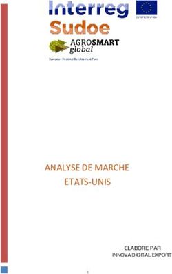 ANALYSE DE MARCHE ETATS-UNIS - ELABORE PAR INNOVA DIGITAL EXPORT - CCI Limoges