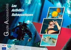 Les Activités Subaquatiques - Le Coin Des Pros | Fédération ...