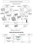 Guide op&eacute;ratoire pour les &eacute;metteurs (ou leurs mandataires) - Instruments financiers non admis aux op&eacute;rations d'un d&eacute;positaire central