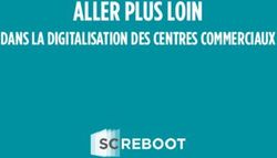 ALLER PLUS LOIN DANS LA DIGITALISATION DES CENTRES COMMERCIAUX - SC Reboot