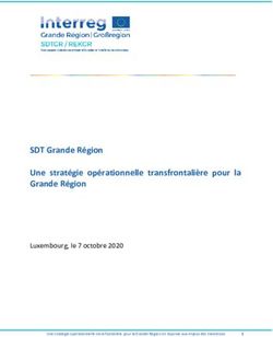 SDT Grande R&eacute;gion Une strat&eacute;gie op&eacute;rationnelle transfrontali&egrave;re pour la Grande R&eacute;gion - Luxembourg, le 7 octobre 2020