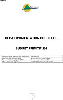 DEBAT D'ORIENTATION BUDGETAIRE BUDGET PRIMITIF 2021 - Mairie de ...