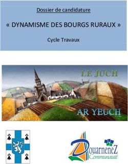 " DYNAMISME DES BOURGS RURAUX " - Dossier de candidature Cycle Travaux