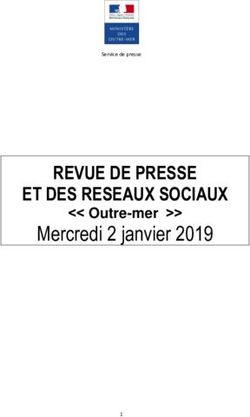 REVUE DE PRESSE ET DES RESEAUX SOCIAUX - Mercredi 2 janvier 2019 Outre-mer - Mayotte