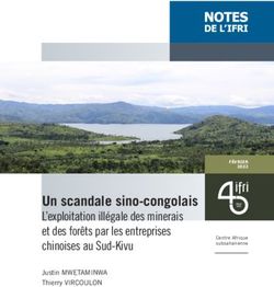Un scandale sino-congolais - L'exploitation illégale des minerais et des forêts par les entreprises chinoises au Sud-Kivu