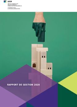 RAPPORT DE GESTION 2020 - EHB
