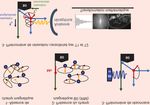 R&eacute;gulation des &eacute;motions chez l'animal d'&eacute;levage : focus sur les acteurs neurobiologiques - Inra