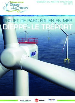 DIEPPE - LE TRÉPORT PROJET DE PARC ÉOLIEN EN MER - DOSSIER DU MAÎTRE D'OUVRAGE - CNDP