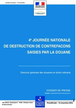 4e JOURNÉE NATIONALE DE DESTRUCTION DE CONTREFACONS SAISIES PAR LA DOUANE