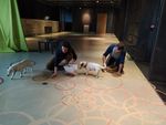 LA CUISINE CENTRE D'ART ET DE DESIGN PROGRAMMATION 2020 - R&Eacute;CONCILIATIONS