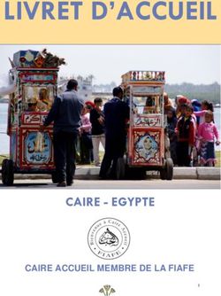 LIVRET D'ACCUEIL - CAIRE - EGYPTE CAIRE ACCUEIL MEMBRE DE LA FIAFE