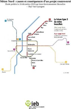 Métro Nord : causes et conséquences d'un projet controversé - Étude publiée le 26 décembre 2019 par Inter-Environnement Bruxelles - Thyl Van ...