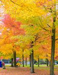 Un automne color&eacute; &agrave; Lorraine - PROGRAMMATION DES LOISIRS ET DE LA CULTURE I AUTOMNE 2022