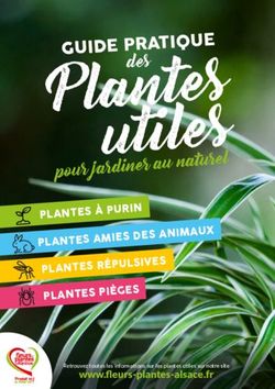 Pour jardiner au naturel - PLANTES À PURIN PLANTES AMIES DES ANIMAUX PLANTES RÉPULSIVES PLANTES PIÈGES - Musiconair