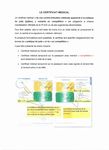 Livret du commissaire sportif - Saison 2017/2018 Claudette Roussette - Comit&eacute; Judo ...